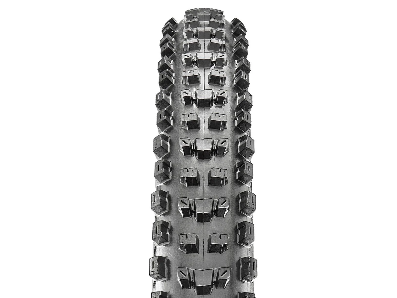 Pneu Maxxis Dissector 2.60 - EXO+ Protection - 3C MaxxTerra - Tubeless Ready - Image 2