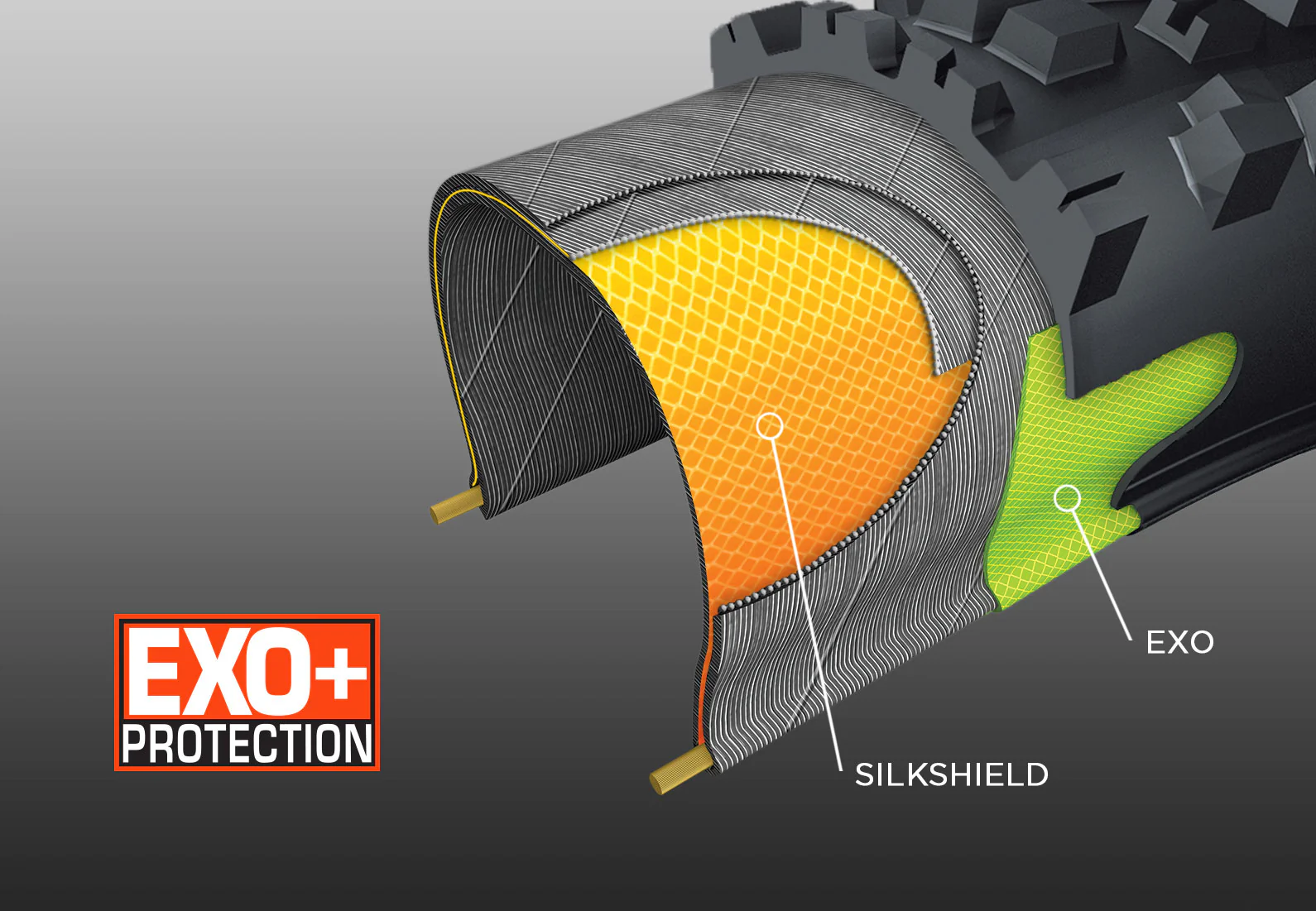 Pneu Maxxis Minion DHR II Wide Trail - Exo+ Protection - 3C Maxx Terra - Tubeless Ready - Image 5