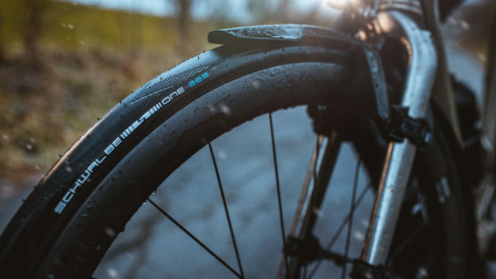 Pneu Schwalbe One 365 - Addix 4Season - RaceGuard - Tubetype - Image 4
