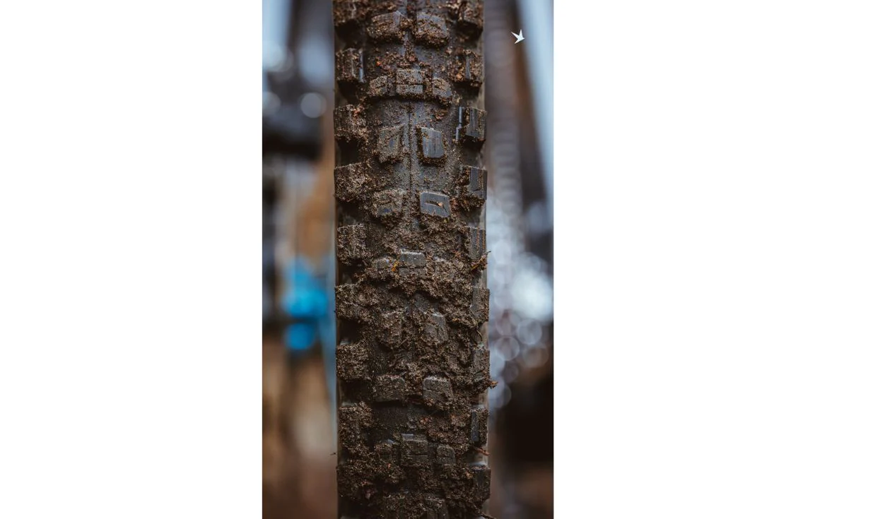 Pneu Schwalbe Romy Radial - Gravity Pro -  Soft - Tubeless Ready - Image 5