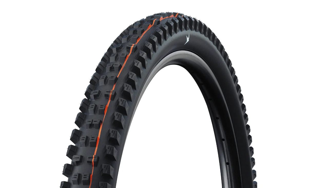 Pneu Schwalbe Tacky Chan - Gravity - Soft - tubeless ready